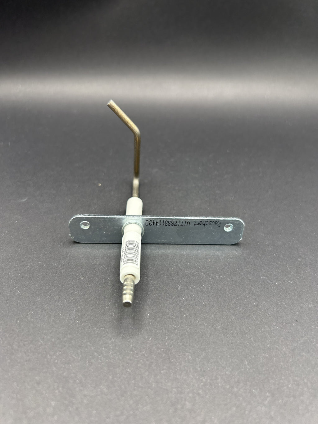 Viessmann Ionisationselektrode 7822848 Vitopend Grundgerät WH2A 18/24 kW